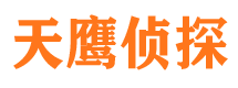 六合市调查公司